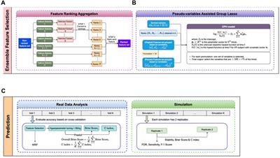 A robust ensemble feature selection approach to prioritize genes associated with survival outcome in high-dimensional gene expression data